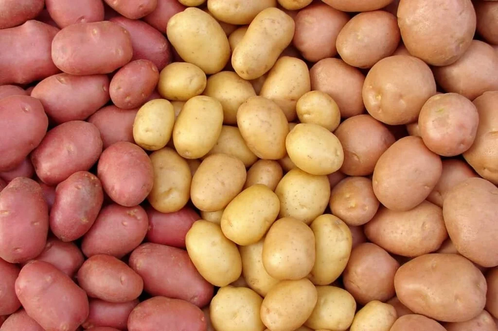 Potatoes